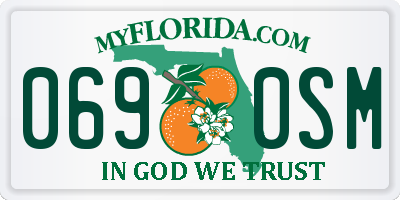 FL license plate 0690SM