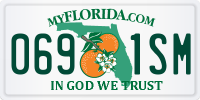 FL license plate 0691SM