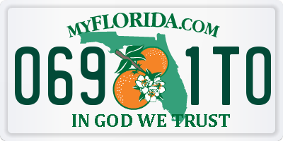 FL license plate 0691TO