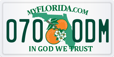 FL license plate 0700DM