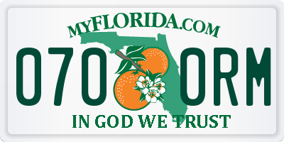 FL license plate 0700RM