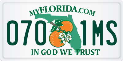 FL license plate 0701MS