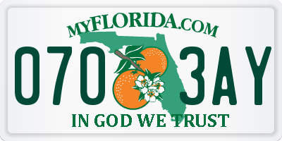 FL license plate 0703AY