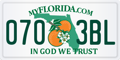 FL license plate 0703BL