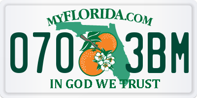FL license plate 0703BM