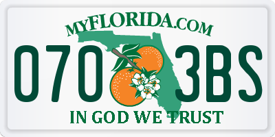 FL license plate 0703BS