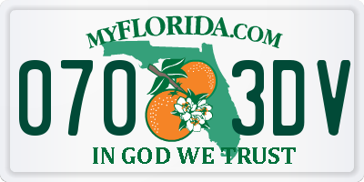 FL license plate 0703DV