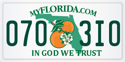 FL license plate 0703IO