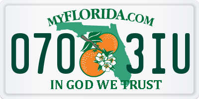 FL license plate 0703IU