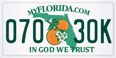 FL license plate 0703OK