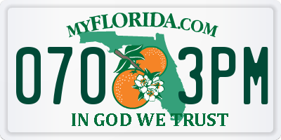 FL license plate 0703PM