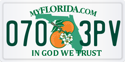 FL license plate 0703PV