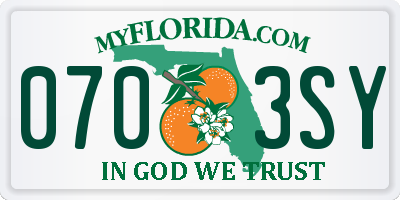 FL license plate 0703SY