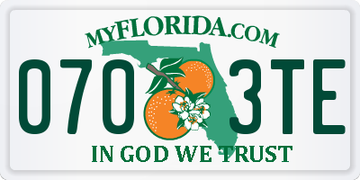 FL license plate 0703TE