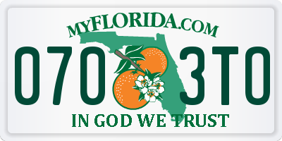 FL license plate 0703TO