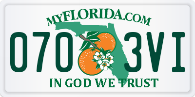 FL license plate 0703VI