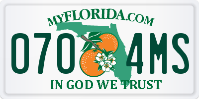 FL license plate 0704MS