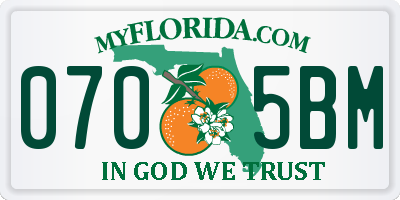 FL license plate 0705BM