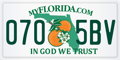 FL license plate 0705BV