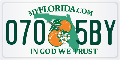 FL license plate 0705BY