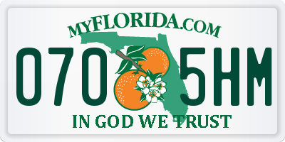 FL license plate 0705HM