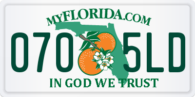 FL license plate 0705LD