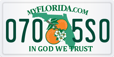 FL license plate 0705SO