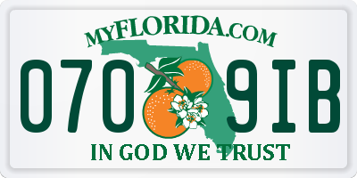 FL license plate 0709IB
