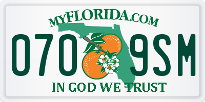 FL license plate 0709SM