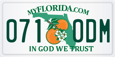 FL license plate 0710DM