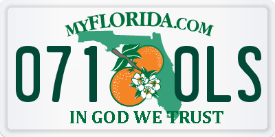 FL license plate 0710LS
