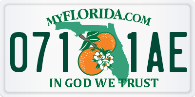 FL license plate 0711AE