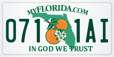 FL license plate 0711AI