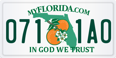 FL license plate 0711AO