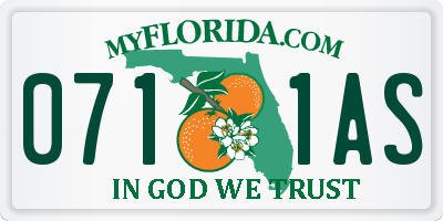 FL license plate 0711AS