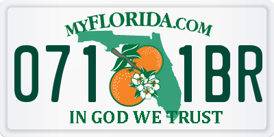 FL license plate 0711BR