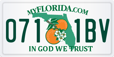FL license plate 0711BV