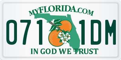 FL license plate 0711DM
