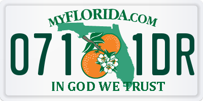 FL license plate 0711DR