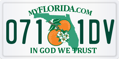 FL license plate 0711DV
