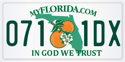 FL license plate 0711DX