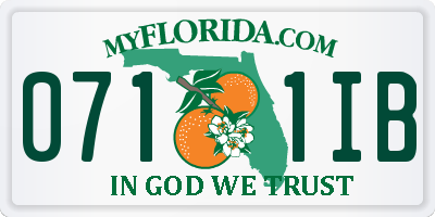 FL license plate 0711IB