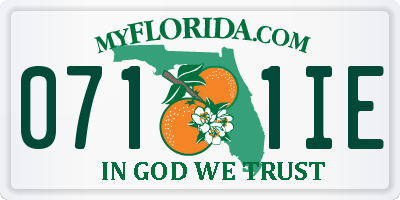 FL license plate 0711IE