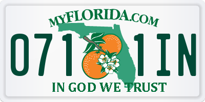 FL license plate 0711IN
