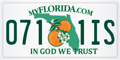 FL license plate 0711IS