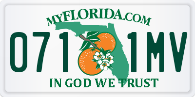 FL license plate 0711MV