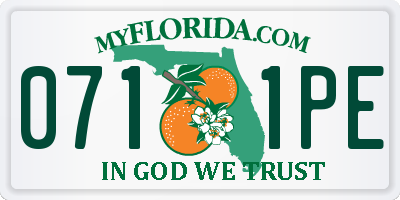 FL license plate 0711PE