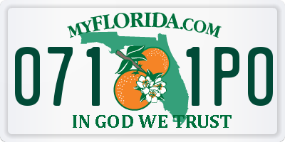 FL license plate 0711PO