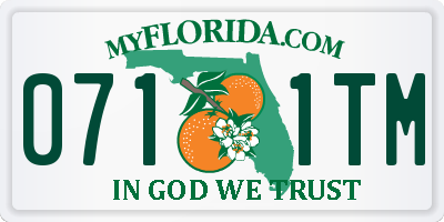 FL license plate 0711TM