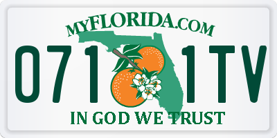 FL license plate 0711TV